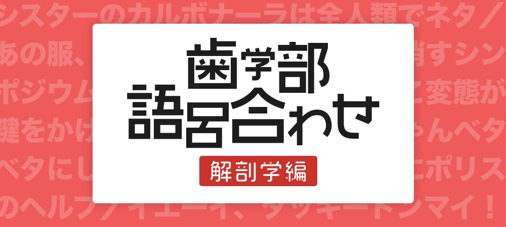 歯学部ゴロ合わせ 歯科医師国家試験に出る 語呂合わせ10選 解剖編 歯科医師 衛生士 技工士向けsns 情報サイト1d ワンディー