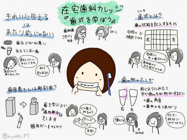 理学療法士の豊原先生に歯式 歯の番号の数え方 を教えさせてい 水無月あかりさんの投稿 歯科 医師 衛生士 技工士向けsns 情報サイト1d ワンディー